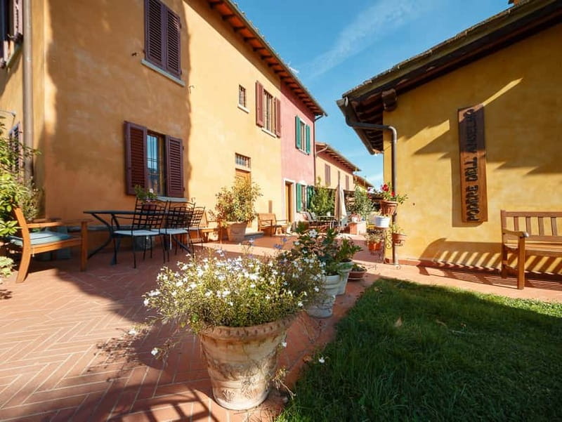 Florence: Wine Tasting at a Vineyard With a Local Winemaker - Vineyard Walk: Grapes You Can Actually Put Names To
