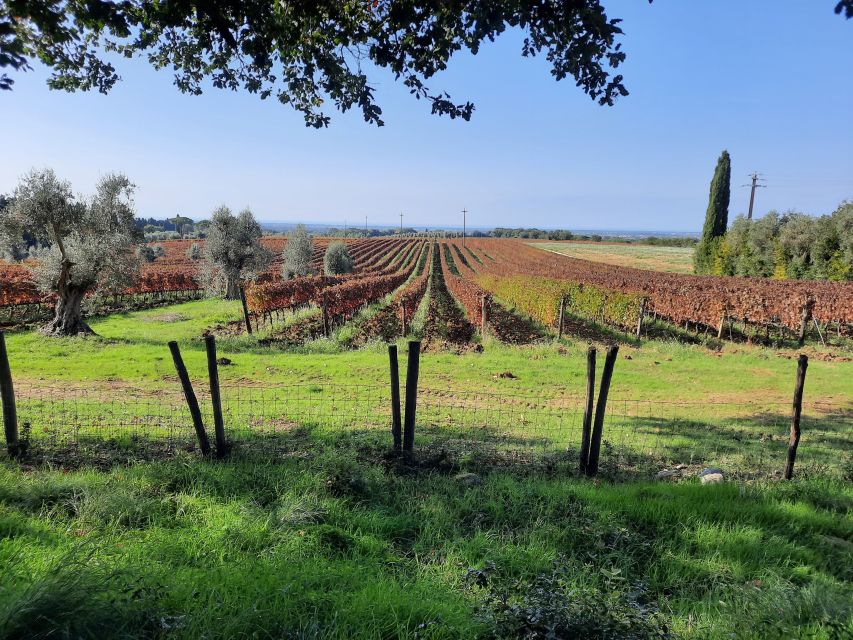 Florence Wine Tour with Traditional Lunch, Private Winery - The pacing and photo stops: small moments that add up