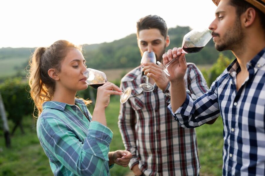 Florence: Wineries, Tastings, Lunch & San Gimignano Day Trip - Who This Chianti Day Trip Suits Best