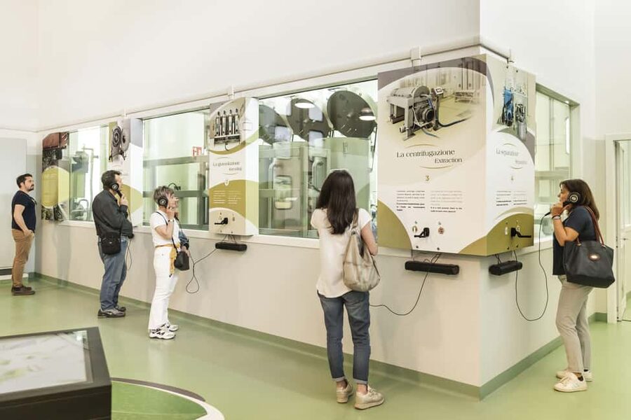 Frantoio di San Gimignano: tour of the oil mill and tasting - Key Highlights