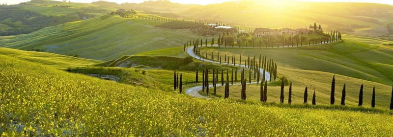 From Firenze | Chianti day tour in a classic car - Key things to know before you go