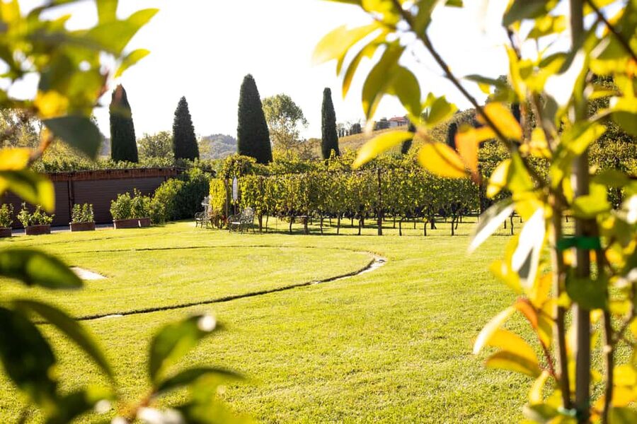 From Florence: Chianti Half-Day Wine Tour with Tasting - Chianti half-day wine tour: what you really get for $58