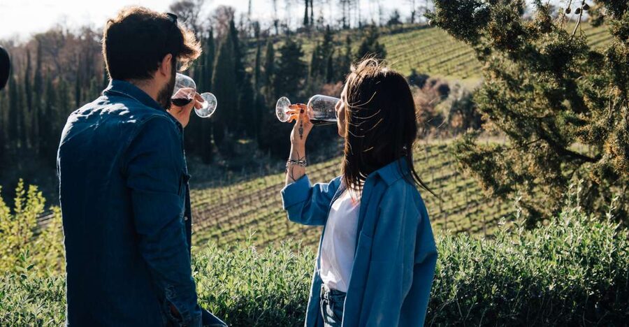 From Florence: Chianti Hills Half-Day Tour with Wine Tasting - Key moments that make this tour work