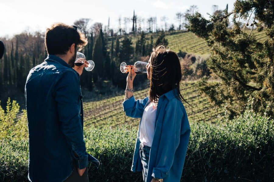 From Florence: Chianti Hills Half-Day Tour with Wine Tasting - Vinegar cellar visit: balsamic tradition and vin santo in one stop