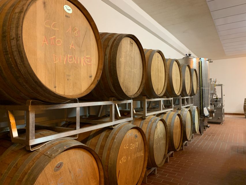 From Florence: Chianti Hills Half-Day Tour with Wine Tasting - Price and value: is $48 a fair trade for wine, food, and a vineyard walk?