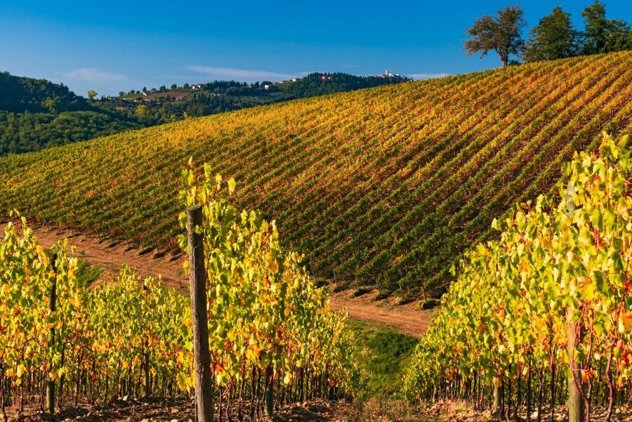 From Florence: Chianti Hills Half-Day Tour with Wine Tasting - Logistics that can make or break your day