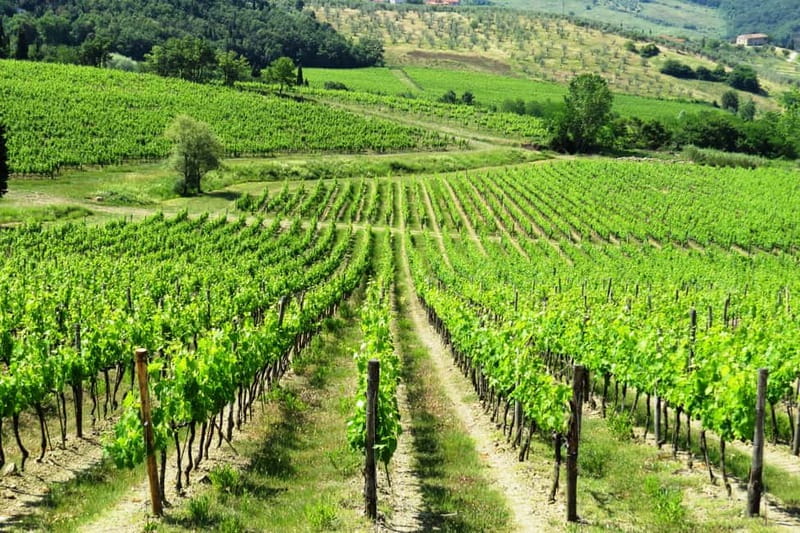 From Florence: Chianti Self-Guided Vespa Tour with Lunch - Chianti Hills by electric Vespa: the part you’ll remember most