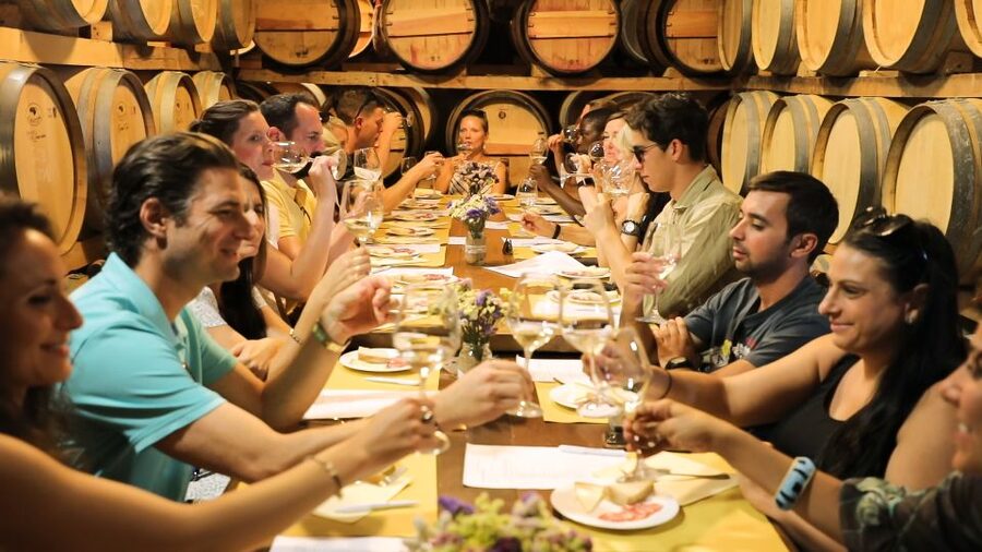 From Florence: Chianti Tour with Two Wine and Food Tastings - Second Winery Walk-Through: Four Wines, Aromatic Gardens, and Vineyard Views