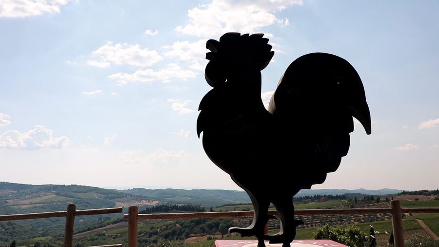 From Florence: Chianti Tour with Two Wine and Food Tastings - Guides and the Style of the Day: What Makes It Feel Human