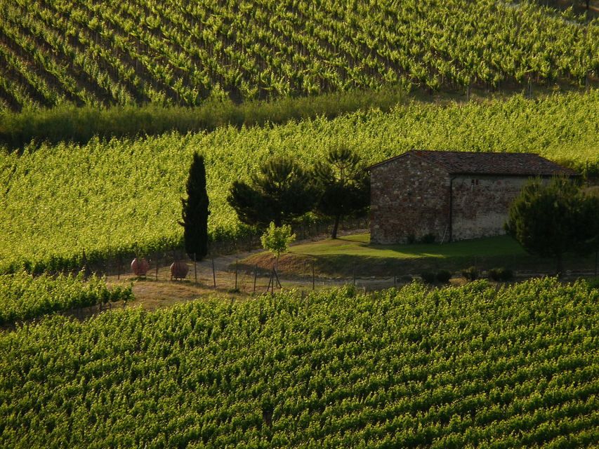 From Florence: Chianti Wine Tastings at Sunset Day Trip - Key things to know before you go