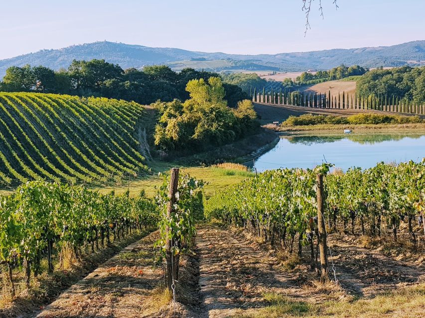 From Florence: Chianti Wine Tastings at Sunset Day Trip - Getting out of Florence: the minivan ride that sets the mood