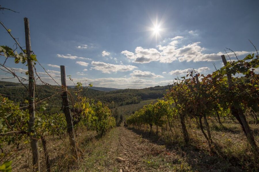 From Florence: Chianti Wine Tastings at Sunset Day Trip - Greve in Chianti and Montefioralle: short stops with big payoff