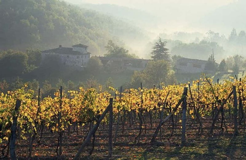 From Florence: Chianti Wine Tour with Driver-Guide - Key things I’d plan around