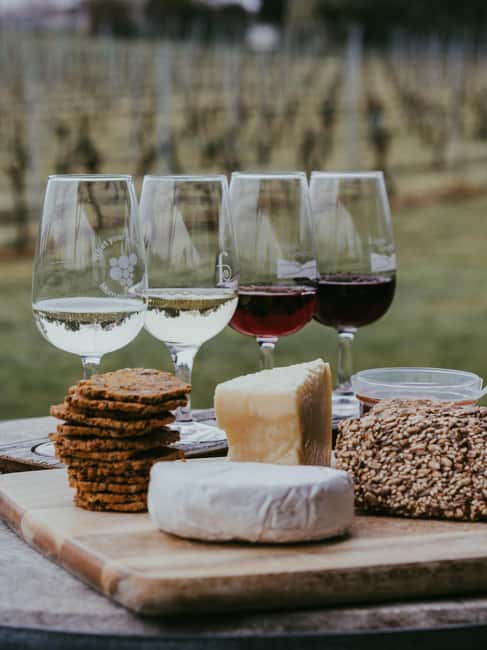 From Florence: Chianti Wine Tour with Driver-Guide - Castellina: narrow streets, wine shops, and an easy stroll