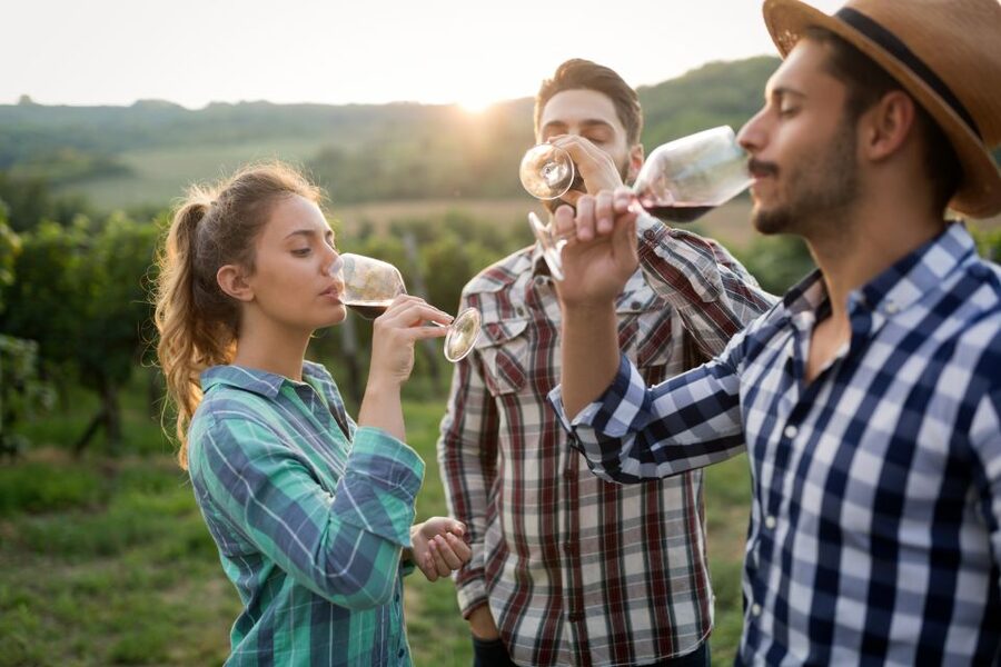 From Florence: Chianti Wine Tour with Tasting - Pairings: cheese, olive oil, and snacks that keep you on your feet