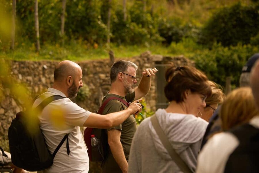 From Florence: Cinque Terre Day Trip with stop in Pisa - Cinque Terre National Park: UNESCO Views With Room to Actually Enjoy Them