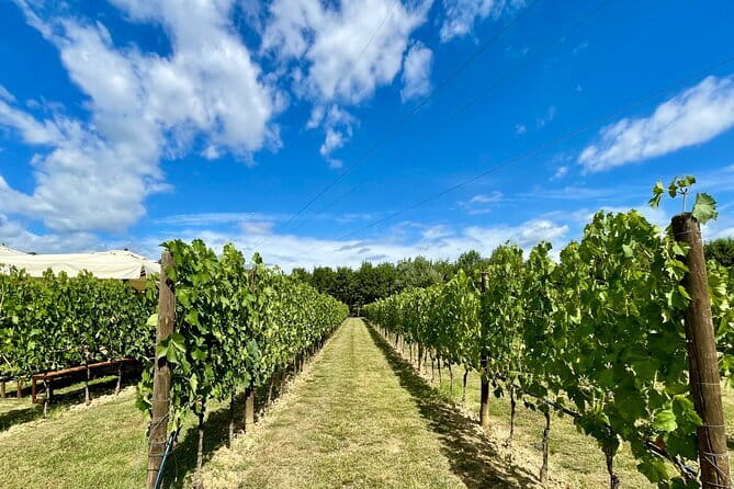 From Florence: Classic Chianti Villages and Wine Roads by Minivan - Key things worth knowing before you go