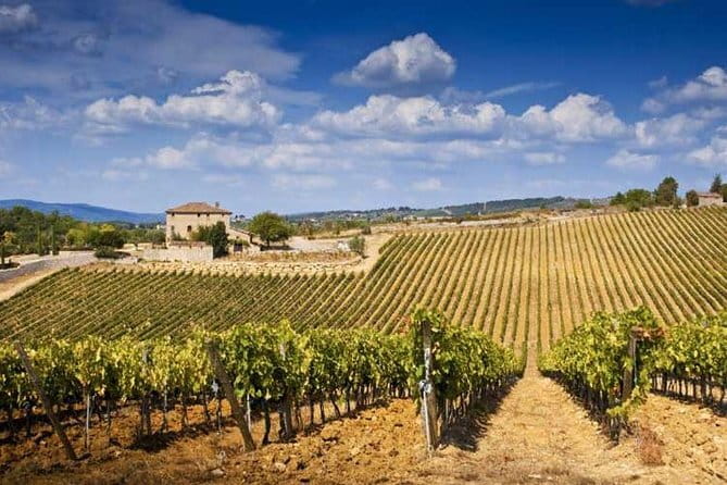 From Florence: Classic Chianti Villages and Wine Roads by Minivan - Greve in Chianti winery visit: what you’ll taste and why it matters