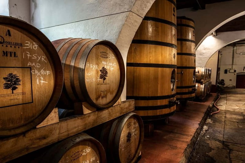 From Florence: Horse Ride and Wine Tour at Estate with Lunch - The 1.5-hour ride through Chianti vineyards and olive groves
