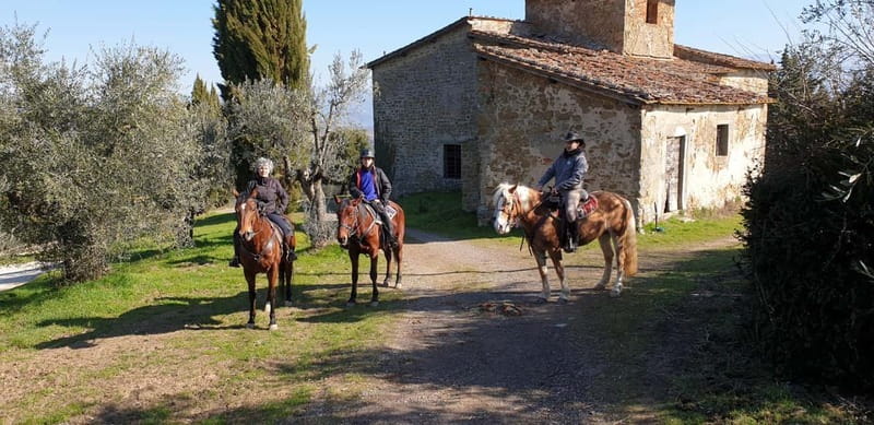 From Florence: Horse Ride and Wine Tour at Estate with Lunch - Inside the estate: partial visit, ancient cellars, and the vinsantaia