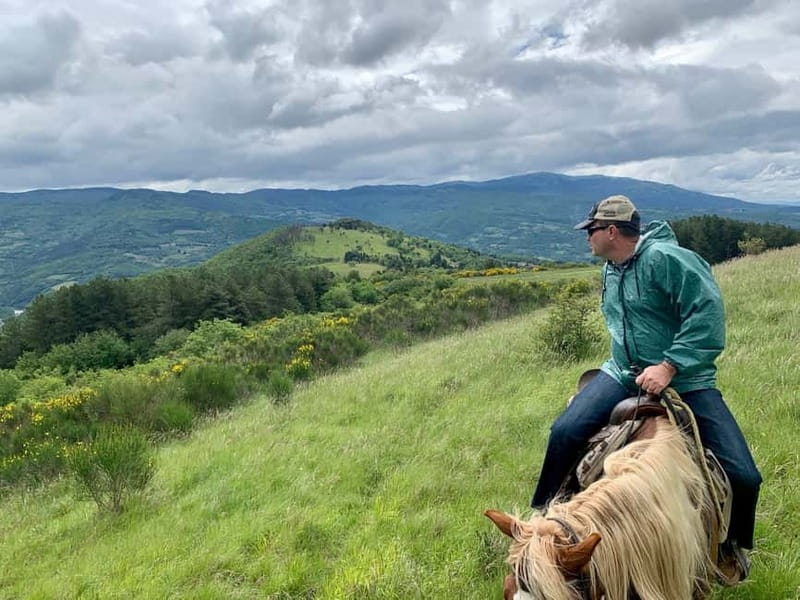 From Florence: Horse Ride and Wine Tour at Estate with Lunch - Price and value: what you’re really paying for at $377
