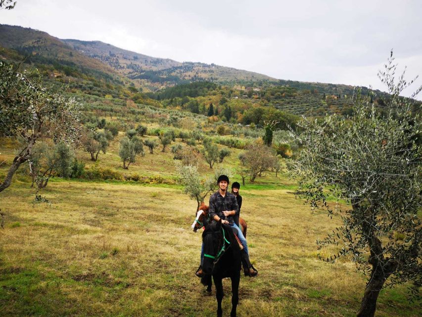From Florence: Horseback Ride and Olive Oil and food tasting - Key things to know before you go