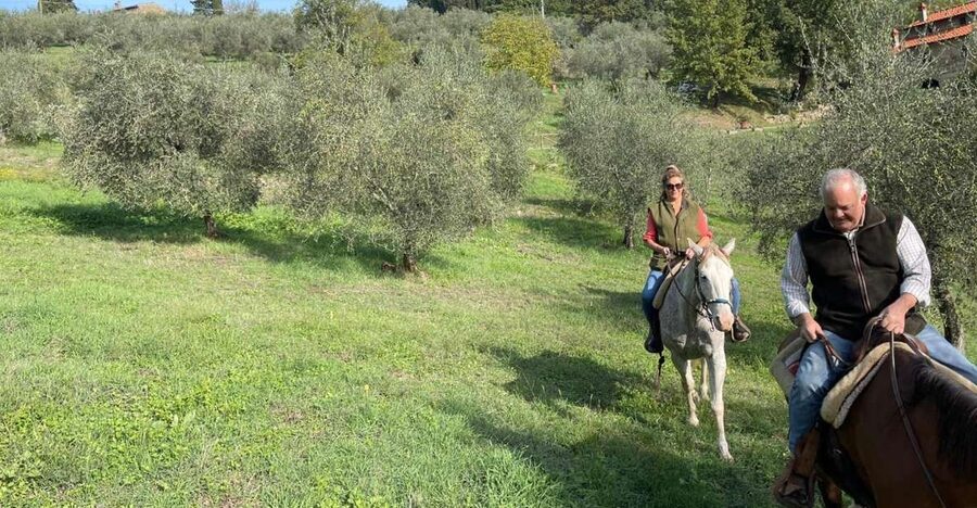 From Florence: Horseback Ride and Olive Oil and food tasting - Horseback Through Chianti: Why this tour feels like a reset