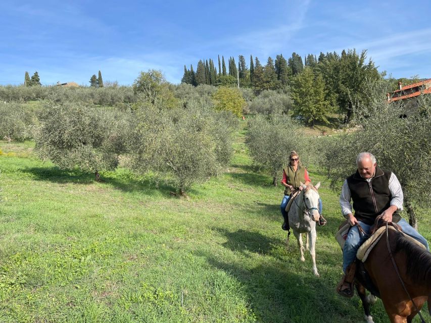 From Florence: Horseback Ride and Olive Oil and food tasting - Your guided tasting: how to read aroma and quality (without pretending you’re a judge)