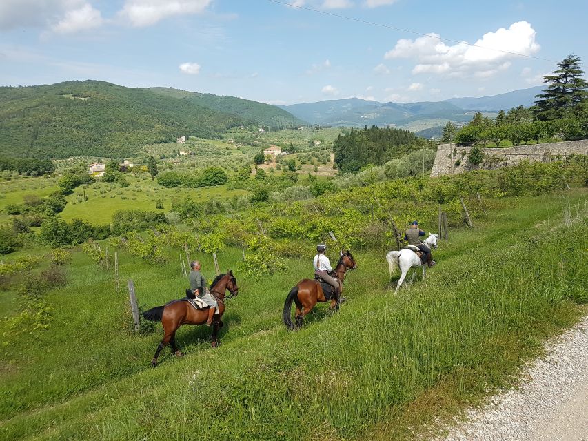 From Florence: Horseback Ride and Olive Oil and food tasting - Price and value: what you’re paying for at $377 per person
