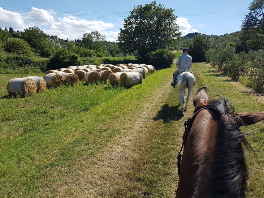 From Florence: Horseback Ride and Olive Oil and food tasting - Getting to the Chianti hills from Florence (and why the ride matters)