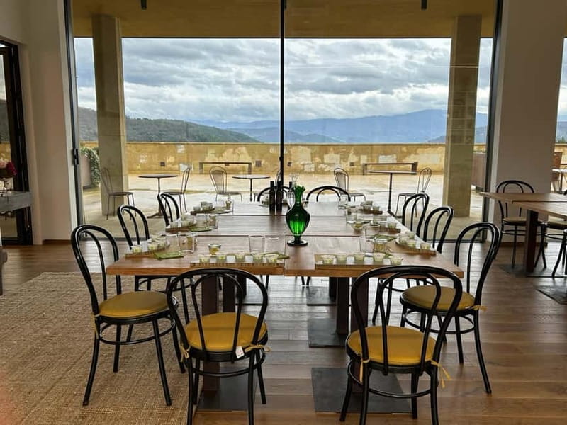 From Florence: Olive Oil Mill Tour and Tasting in Fiesole - Key Points to Know Before You Go