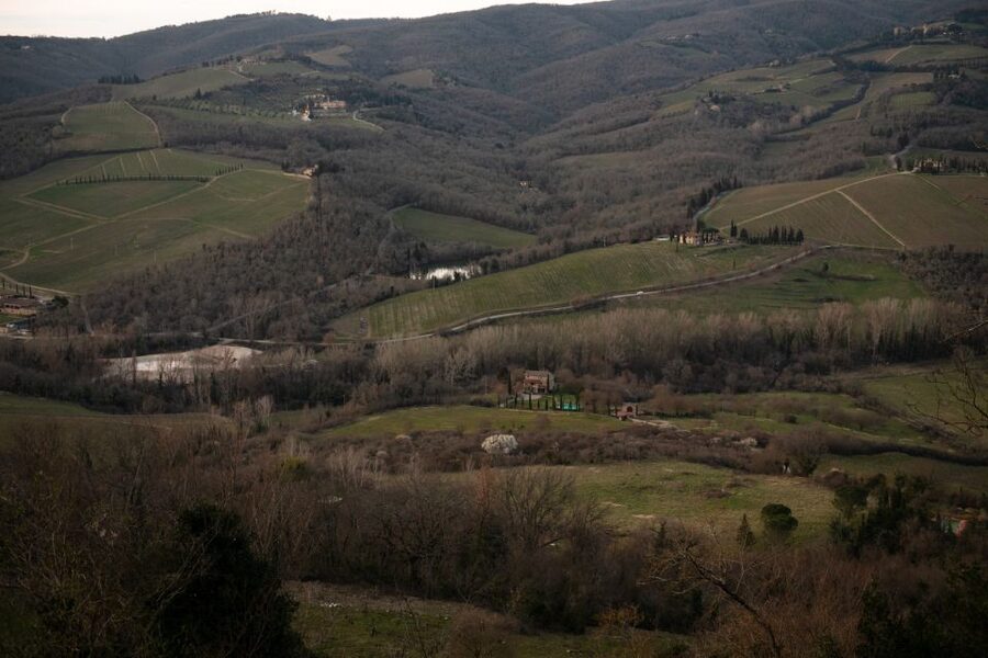 From Florence: Private Chianti Hills Tour with Tasting - Getting Out Of Florence: The Minivan Ride That Makes Chianti Feel Close