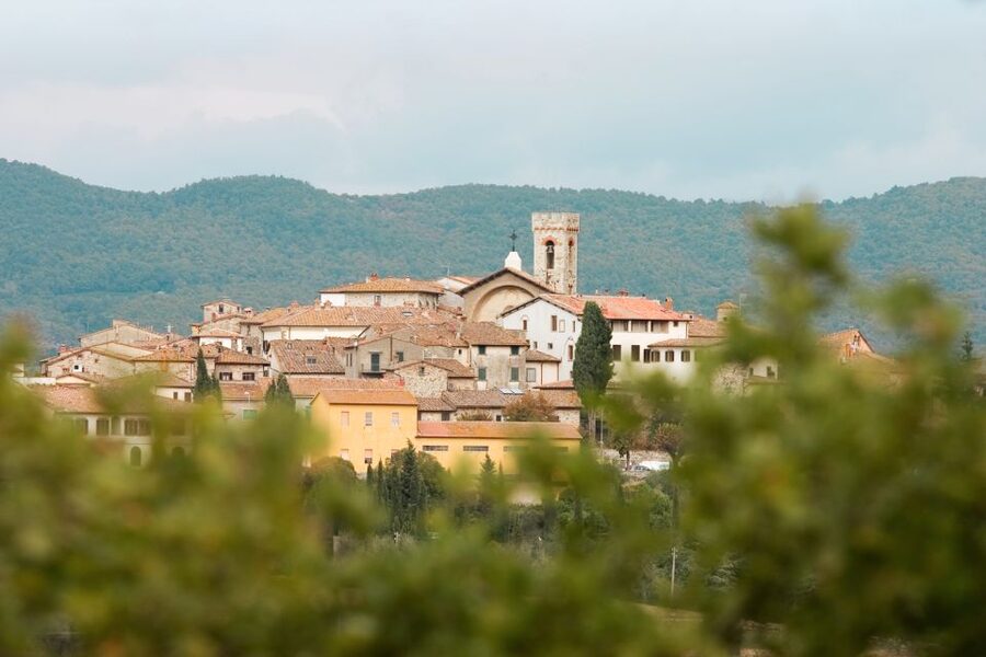 From Florence: Private Chianti Hills Tour with Tasting - Private Group Value: Is $1,166 Worth It?