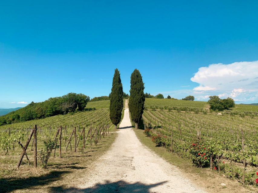 From Florence: Private Chianti Hills Tour with Tasting - Guides, Languages, and the Small Details That Change the Day