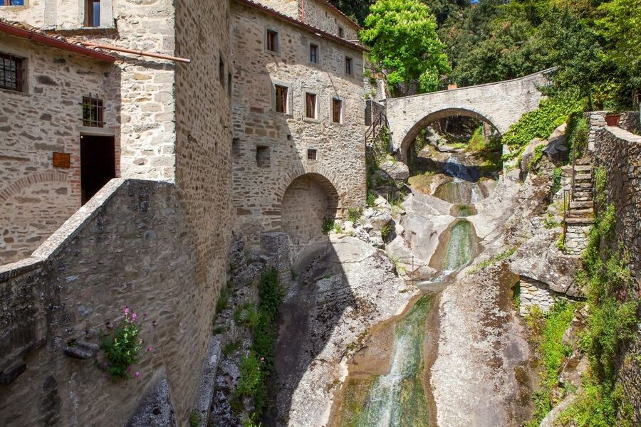 From Florence: Private Day Trip to Assisi and Cortona - Should you book this private Assisi and Cortona trip?