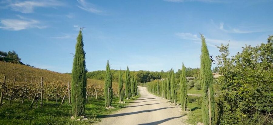 From Florence: Private Half-Day Chianti Tour & Wine Tasting - The Big Takeaway: Private Chianti With Real Tasting Time