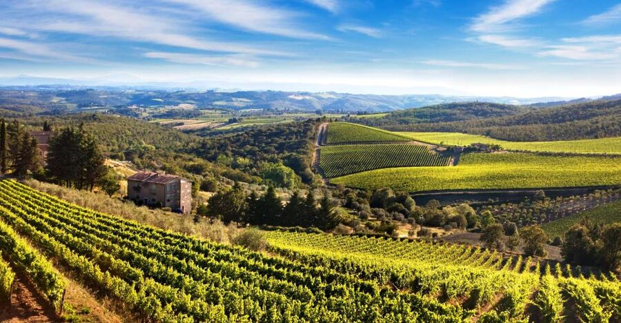 From Florence: Private Half-Day Chianti Tour & Wine Tasting - Who This Tour Fits Best