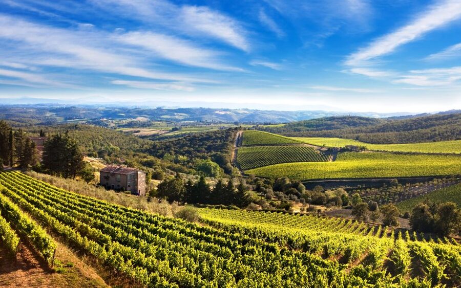 From Florence: Private Half-Day Chianti Tour & Wine Tasting - Greve in Chianti Stops: Small Town Feel With Purpose