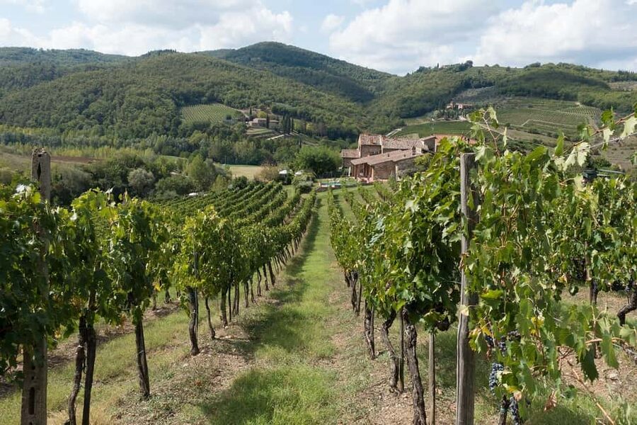 From Florence: Private Half-Day Chianti Tour & Wine Tasting - Visiting a Historic Chianti Estate: Why the Cellars Matter