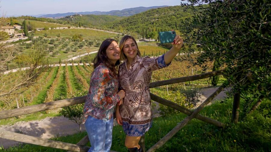 From Florence: Private Half-Day Chianti Tour & Wine Tasting - Price and Value: What $330 Gets You (and What It Doesn’t)