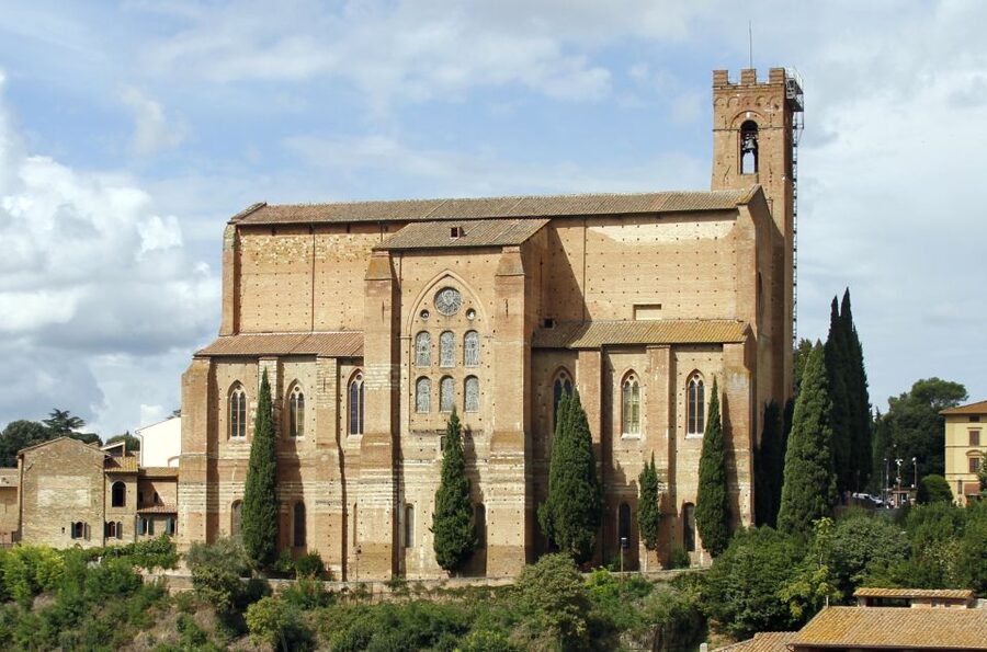 From Florence: Private Siena, San Gimignano + wine tasting - The winery stop: Vernaccia tasting and olive oil that tastes like something