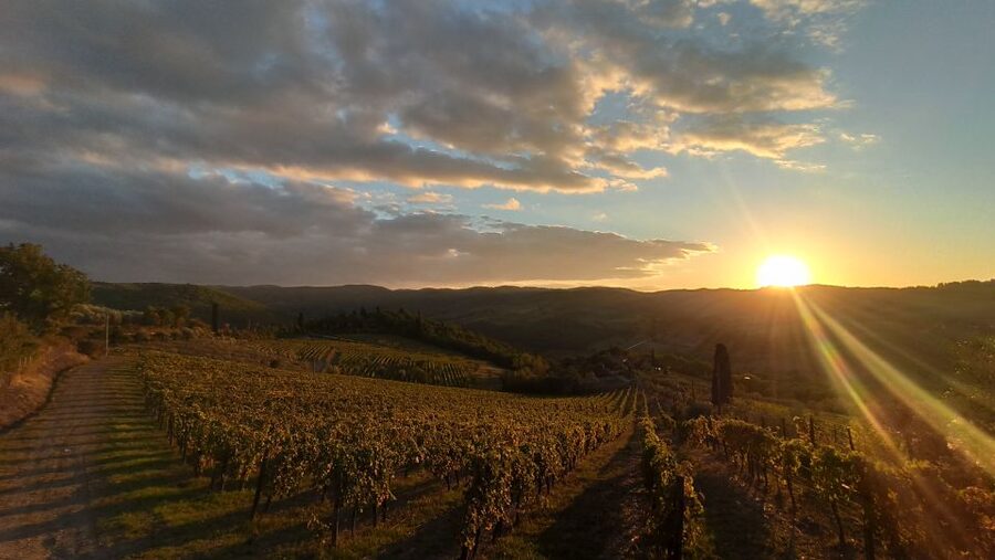 From Florence: Private Wine Tasting Tour in Chianti - Key highlights worth getting excited about