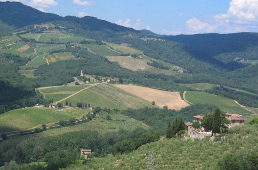 From Florence: Private Wine Tasting Tour in Chianti - Who should book this Chianti wine and olive oil tour