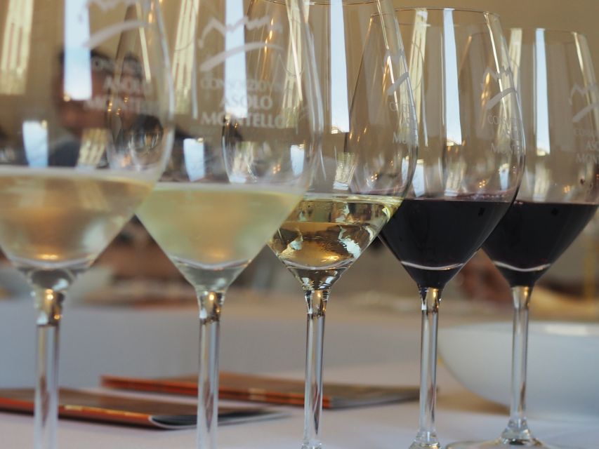 From Florence: Private Wine Tasting Tour in Chianti - The 6.5-hour rhythm: what a “real Tuscany” day feels like