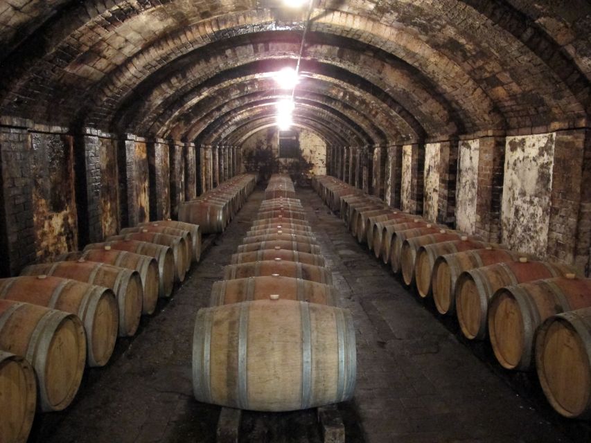 From Florence: Private Wine Tasting Tour in Chianti - Winery stop one: family guidance plus a structured Sangiovese education