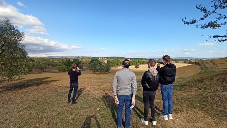 From Florence: Private Wine Tasting Tour in Chianti - Why the olive oil tasting is more than a side quest
