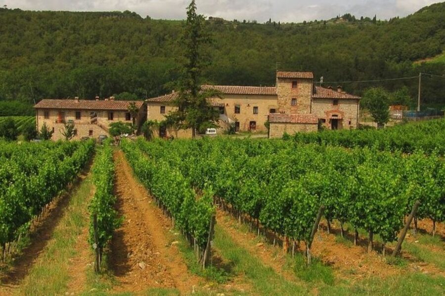 From Florence: Private Wine Tasting Tour in Chianti - Pace and group size: what private really changes