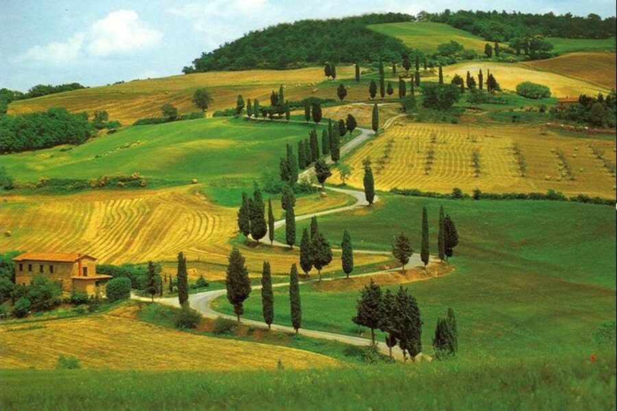 From Florence: Private Wine Tasting Tour in Chianti - Price and value: $586.07 per person is not cheap, so here’s why it can still make sense