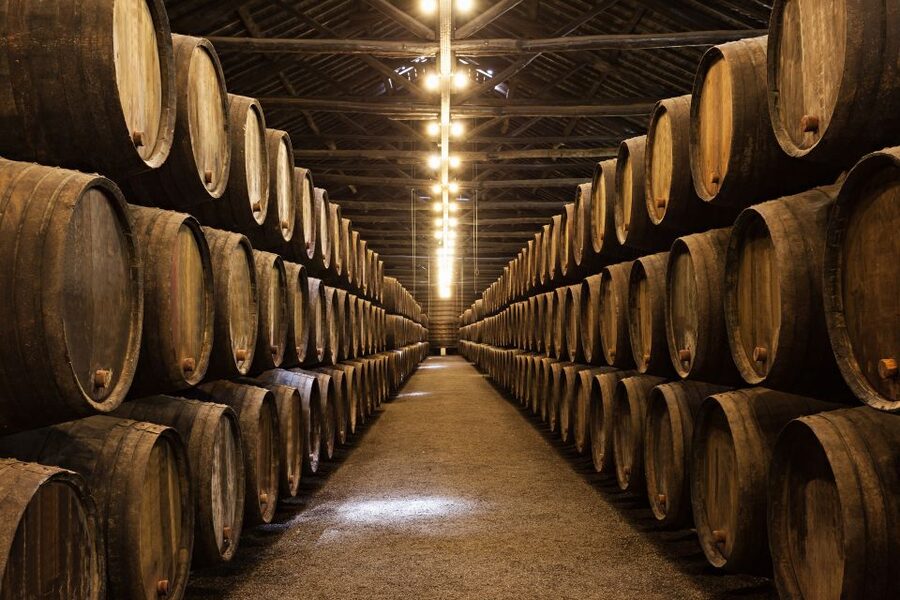 From Florence: Semi Private Deep Wine Chianti San Gimignano - Key Highlights Worth Booking For