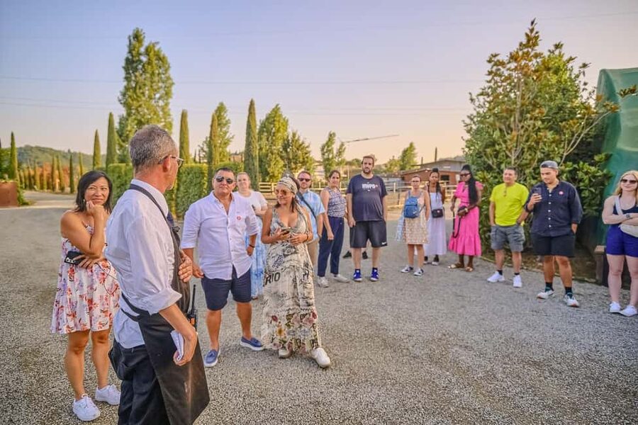 From Florence: Siena and Chianti Wine Tour with Dinner - Price and value: why $105 can make sense (and when it might not)